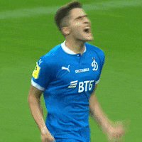 Football Футбол GIF by FC Dynamo Moscow