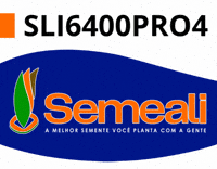 GIF by semealisementes