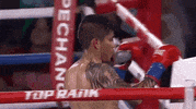 toprank fight boxing fighting espn GIF