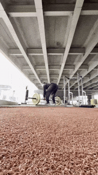 Gym Health GIF by Casol