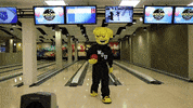 Wu_Shock bowling wu wsu wushock GIF