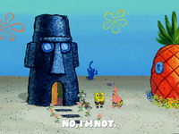 season 5 episode 10 GIF by SpongeBob SquarePants