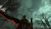 Fight Freedom GIF by Xbox