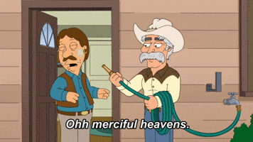 Family Guy Fox GIF by AniDom