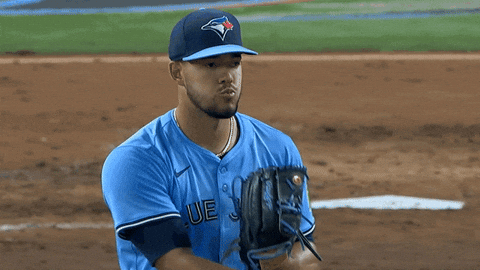 Blue Jays Baseball GIF by Toronto Blue Jays