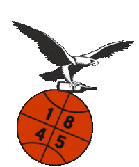 Basketball Sticker by Fernet Branca
