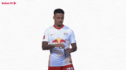 Red Bull Thumbs Up GIF by RB Leipzig