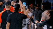 High Five Major League Baseball GIF by San Francisco Giants