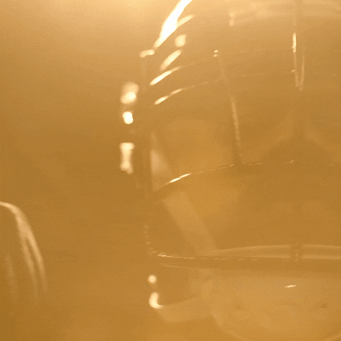 Jonathan Allen Football GIF by Washington Commanders