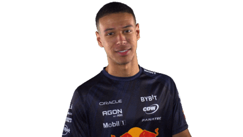 Red Bull Sr Sticker by Oracle Red Bull Racing