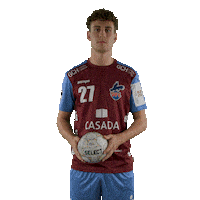 Handball Potsdam Sticker by DAIKIN HBL
