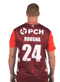 Team Handball Sticker by 1. VFL Potsdam