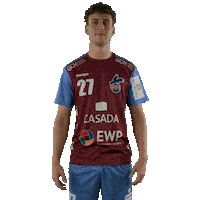 Handball Potsdam Sticker by DAIKIN HBL