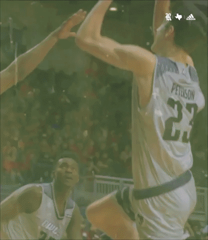 GIF by Rice Owls