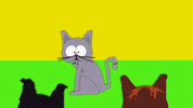 mr. kitty GIF by South Park 