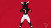 Nfl Mascot GIF by Houston Texans