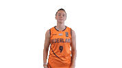 NLbasketball orangelions Sticker