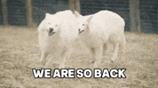 Dire Wolf GIF by Colossal