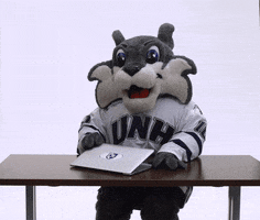 studying new hampshire wildcats GIF by University of New Hampshire