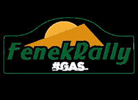 FenekRally fenekrally fenekrally2020 race dunes rally sahara morocco tunisia GIF