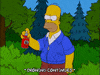 Camping Episode 14 GIF by The Simpsons
