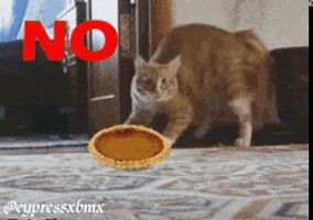 pie GIF