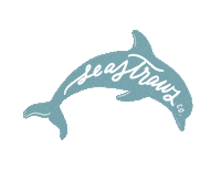 ocean dolphin Sticker by Seastraws.co