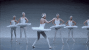 taylor swift dance GIF