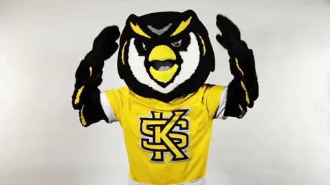 Kennesaw-state-owls GIFs - Get the best GIF on GIPHY