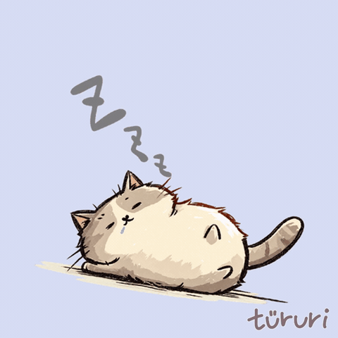 sleepy buddy - sleepy cat zzz nap time