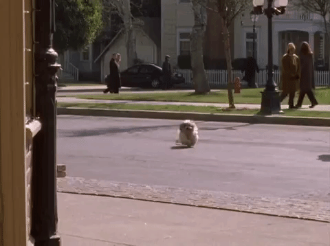 season 4 netflix GIF by Gilmore Girls 