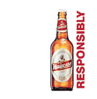 Beer Drink Responsibly Sticker by Niislel Brand