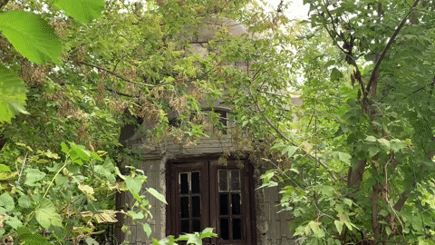 e-Kazan giphyupload GIF