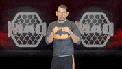 Battersea GIF by MMADen