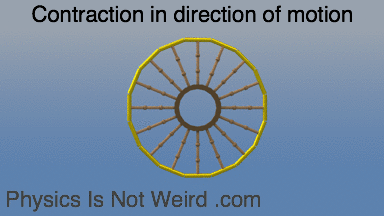 einstein spacetime GIF