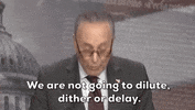 Chuck Schumer GIF by GIPHY News