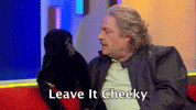 Steve Coogan This Time GIF by Baby Cow