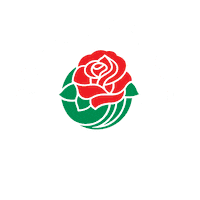 Happy New Year Parade Sticker by Pasadena Tournament Of Roses