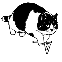 Cat Kocheng Sticker by Wonderyash