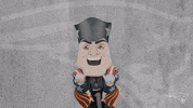 Lets Go Reaction GIF by New England Patriots