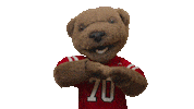 cornell university touchdown Sticker