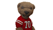 cornell university touchdown Sticker