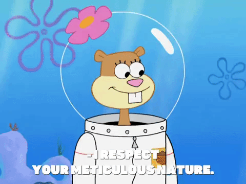 season 8 episode 13 GIF by SpongeBob SquarePants