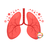 Health Supplement Sticker by GKB