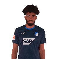 Kevin Akpoguma Sport Sticker by TSG Hoffenheim