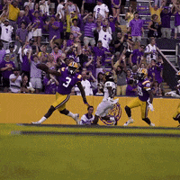 Lsu Football Win GIF by LSU Tigers