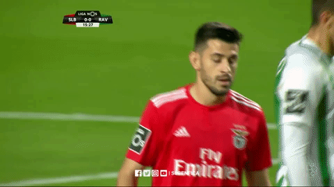 sl benfica GIF by Sport Lisboa e Benfica