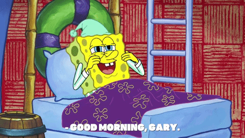 season 9 gary's new toy GIF by SpongeBob SquarePants