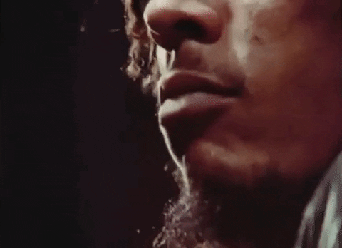 Bob Marley And The Wailers Reggae GIF by Bob Marley