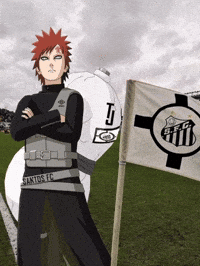 Seria A Santos Fc GIF
